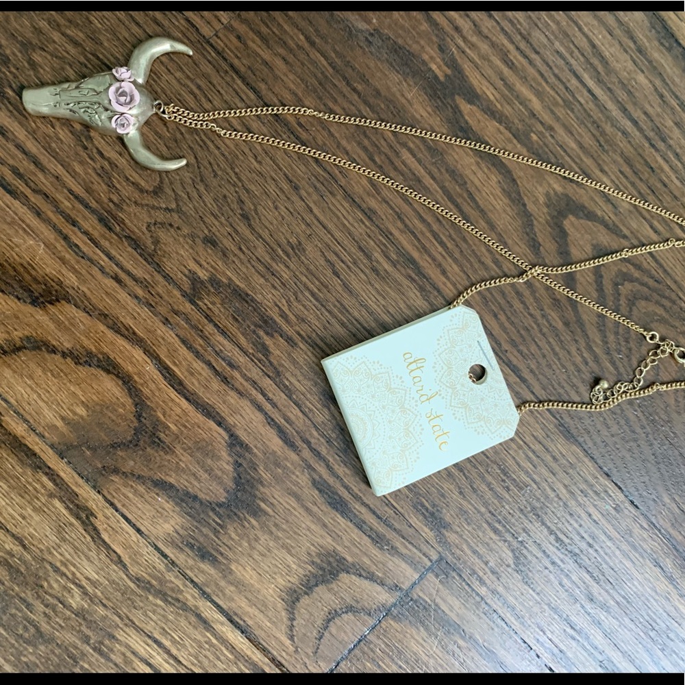 NWT longhorn necklace